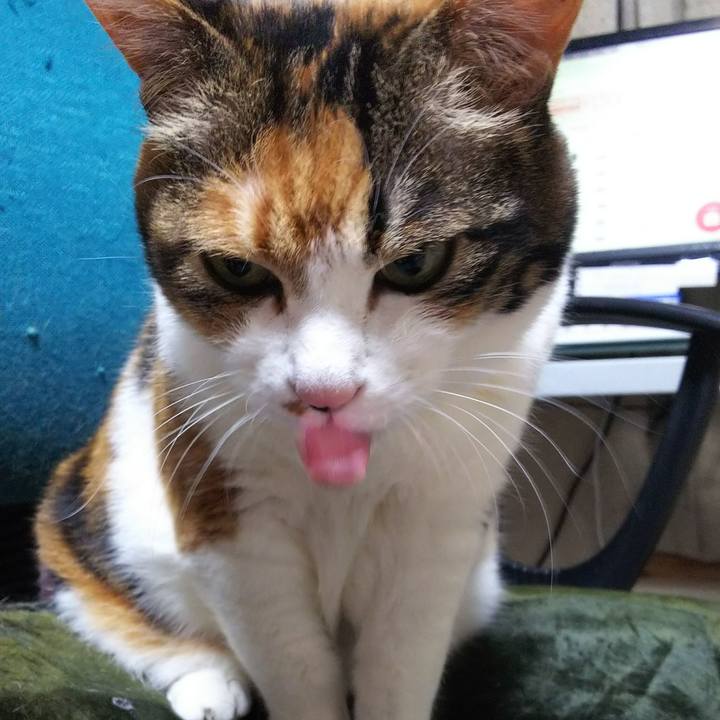 790522c8 496f 4e15 8822 bb2903b354c8 1525607164020