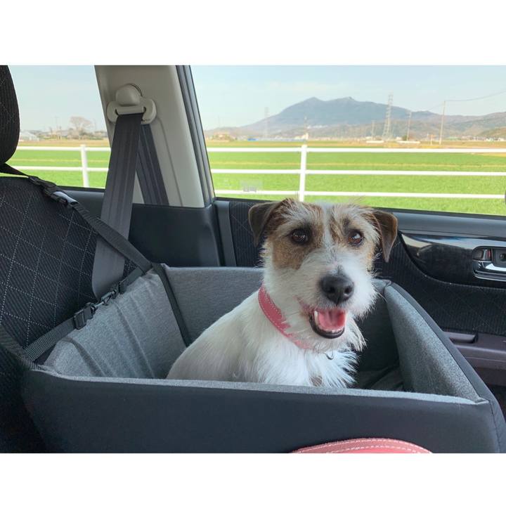 7905533c 0fa7 48e2 83df 265fd27de610 1585893722280