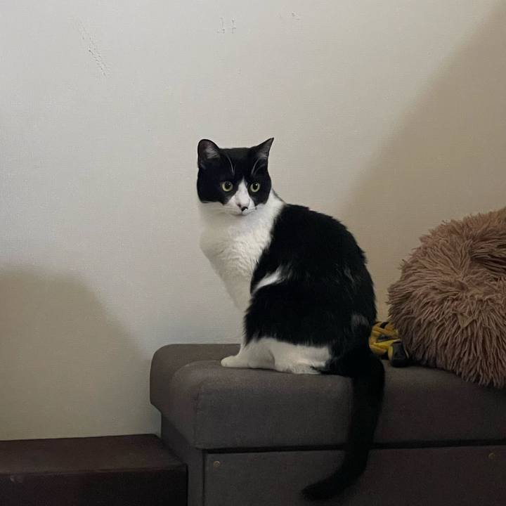 790595bf 4f90 48de bc49 5c821e42902a 1712370626762