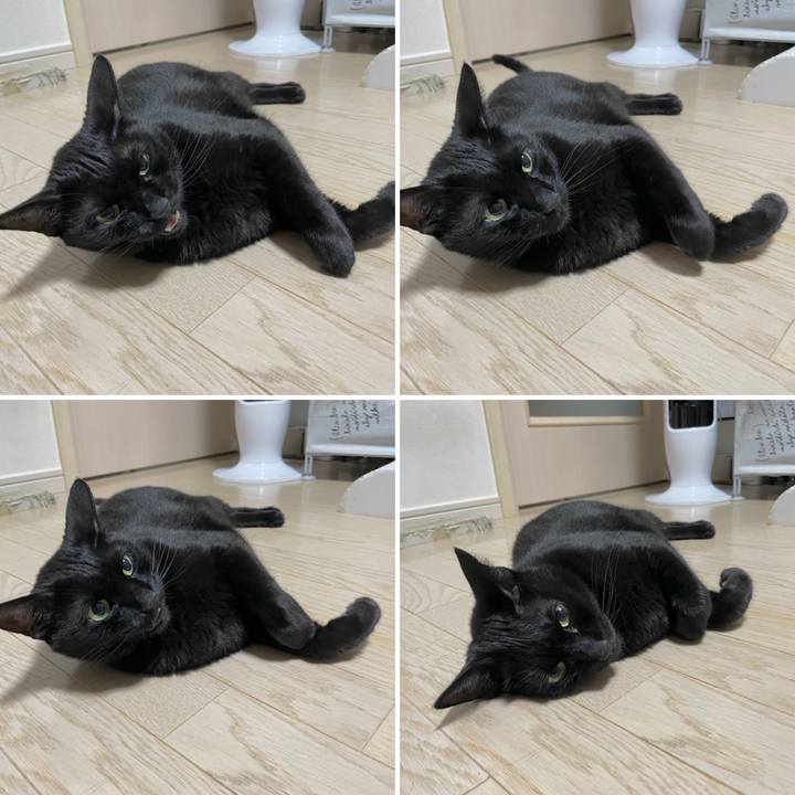 7905be7c dd64 4b50 8315 544e9e5b5bbb 1656163560176