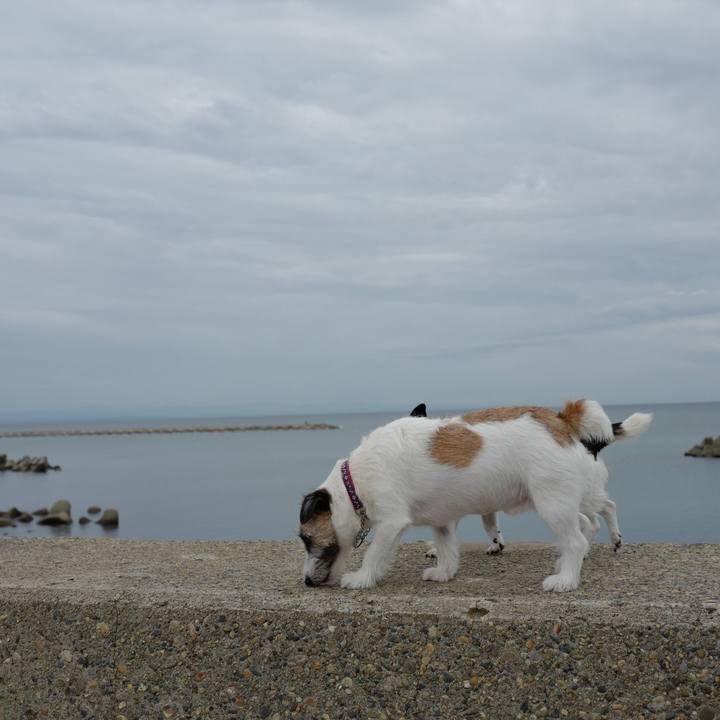 79060472 ef2c 4c6c 9bea a434a704cb85 1563766098410