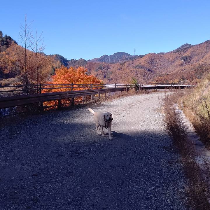 79062ed1 7a20 4a59 8df8 4c07a840ffb8 1636008726733