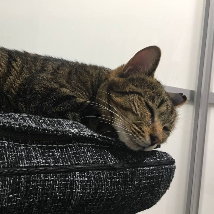 7906319c 5c2b 4a13 87ba 7da443b7ec3a 1556453614078