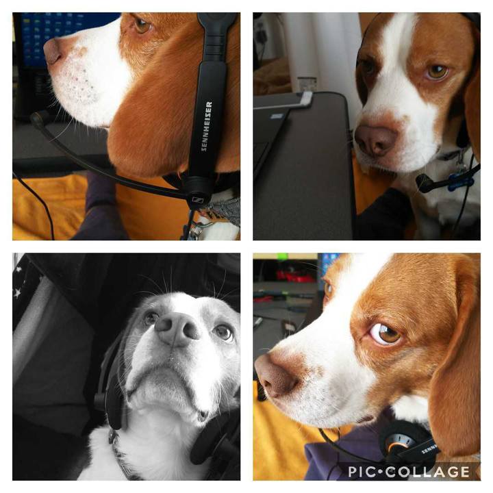 79063910 3856 4ee9 80af 62523f88e0b0 1583994121870