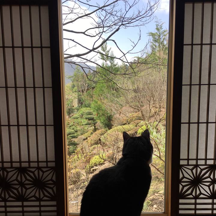 79063d03 5369 4022 b67a d38c05d3084b 1523856760937