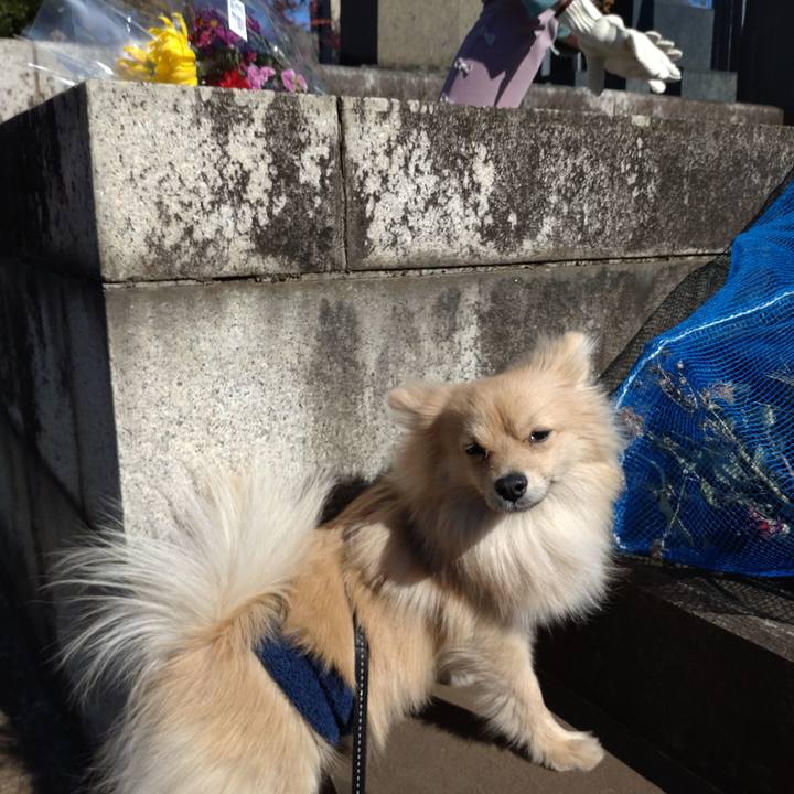 79067f22 0d8a 4480 bc28 cab49feed7c8 1739082234052