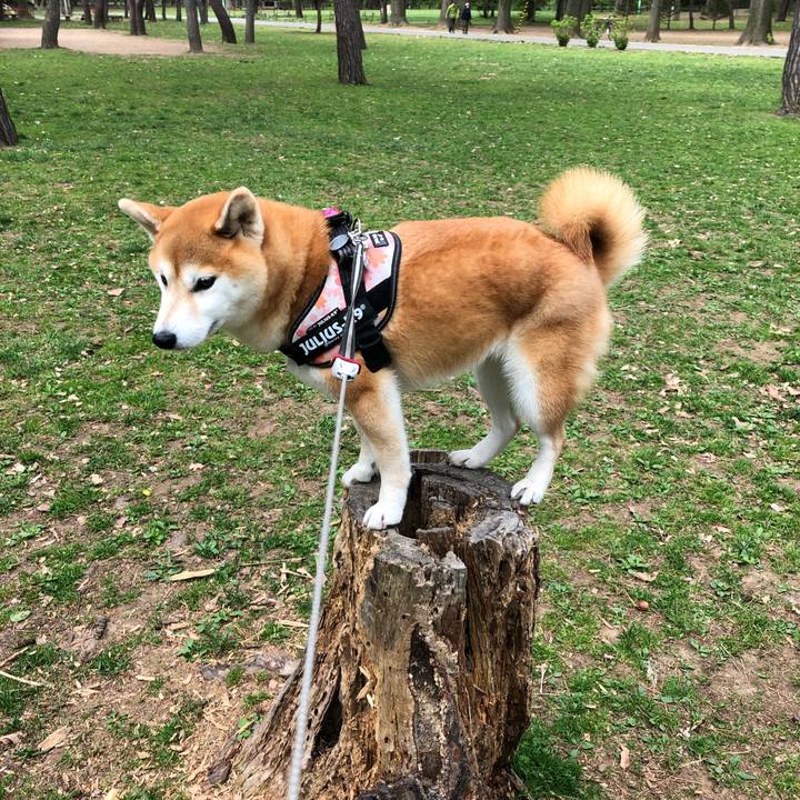 79069627 2d4f 40e8 8e66 c0771d4ebb0b 1557895358352