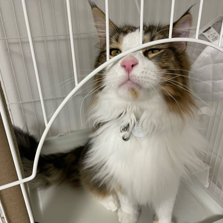 7906b6e2 7404 4ecc af4b 90a245dead2a 1647347177729