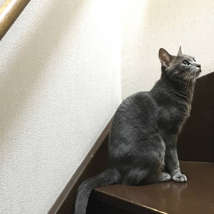 7906e34a 93a0 4cc7 bf2f fd4379321f63 1598105942369