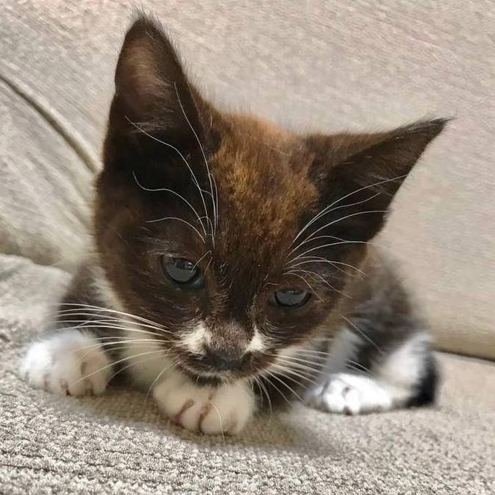 7906e4d1 daaa 4d85 a73e 9f04800f1c3c 1579348231390