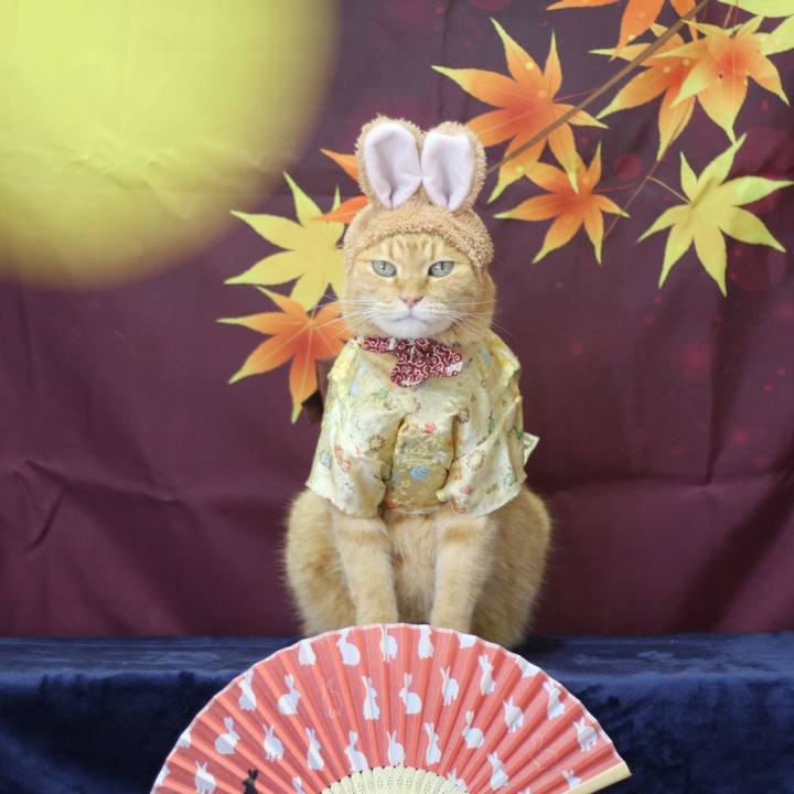 7906fdaf e95a 43e9 bcdb 5cda83f369b2 1630470416800