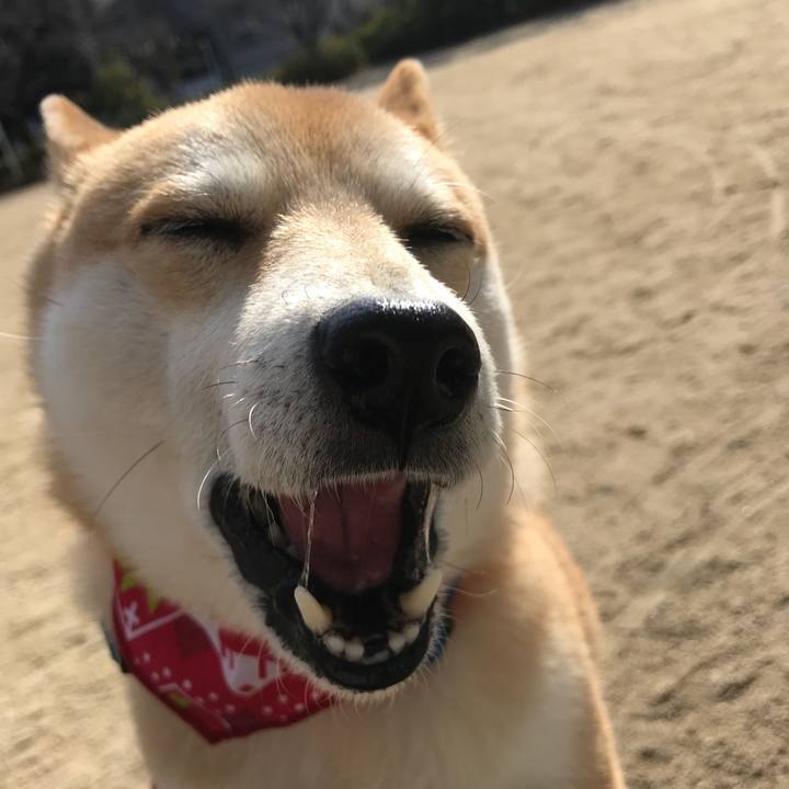 79074bfd c4a2 452b a985 1dc8ac670f2c 1517193289401