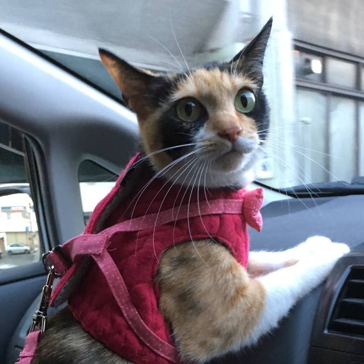 79075863 47fa 49b2 8840 b4b657b55195 1515938340344