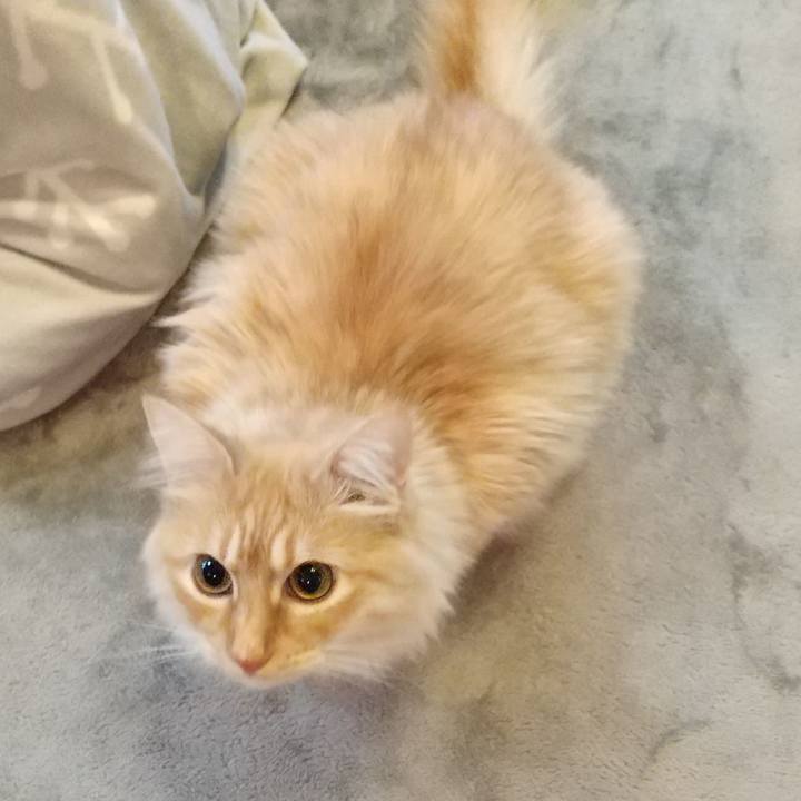 790784bf 65d4 4630 8545 68df247842e3 1646805610629