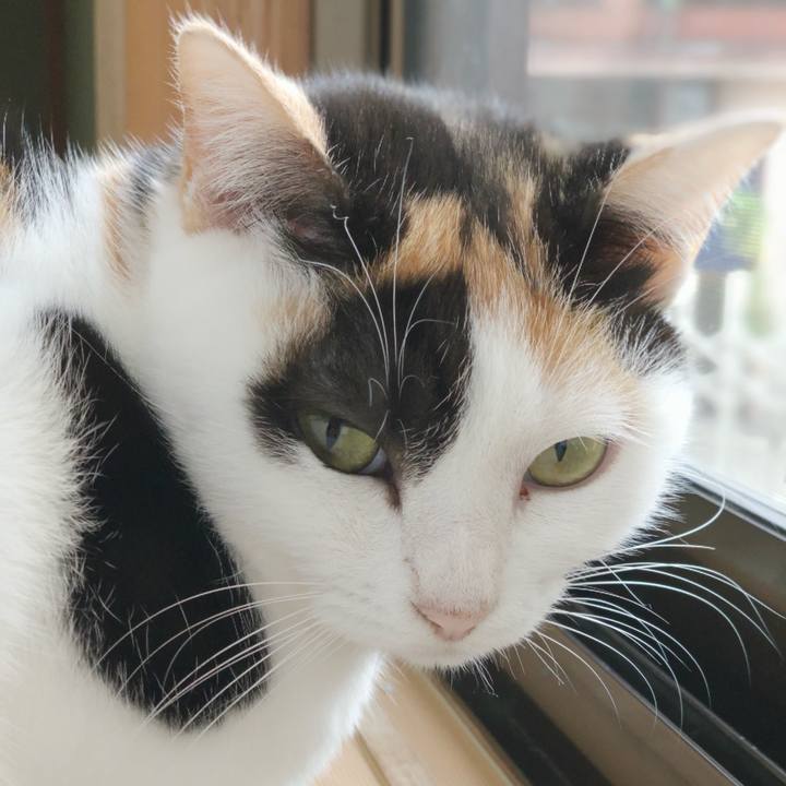 7907a664 9589 4d34 9c3e 93467235aa99 1544840060610