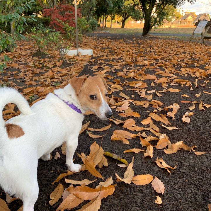 7907b2f2 dd2d 4603 b0b6 9ae0952b752d 1576663785080