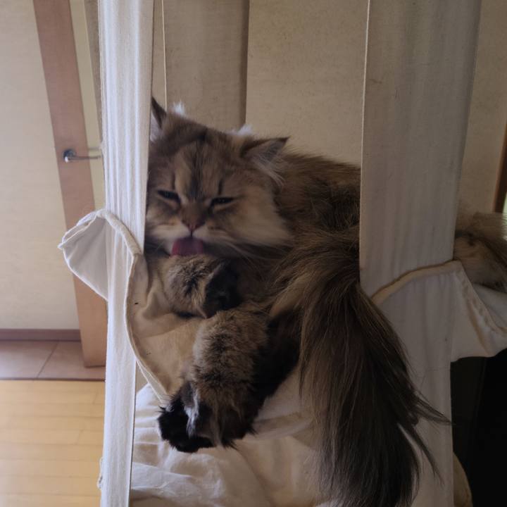 7907e4bf 379a 40be 8a47 aeaae7b41615 1618531726532