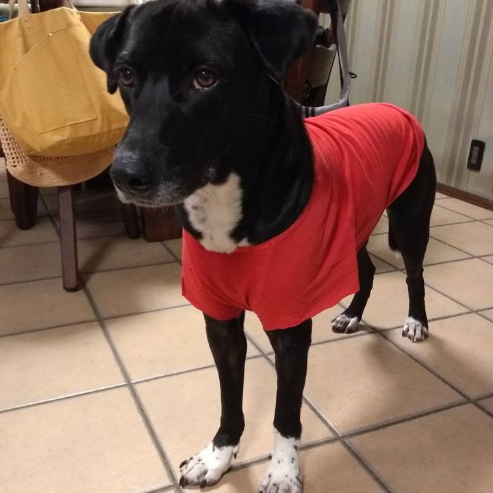 7907f2c0 d867 4244 a819 97796915ca09 1621076433913