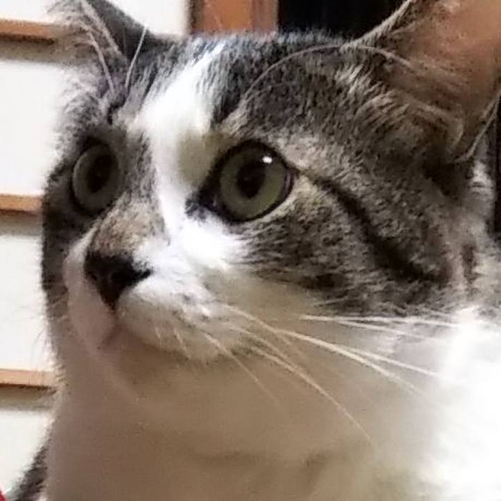 790819dd f3de 4485 adc7 28583a286b6b 1641421465686