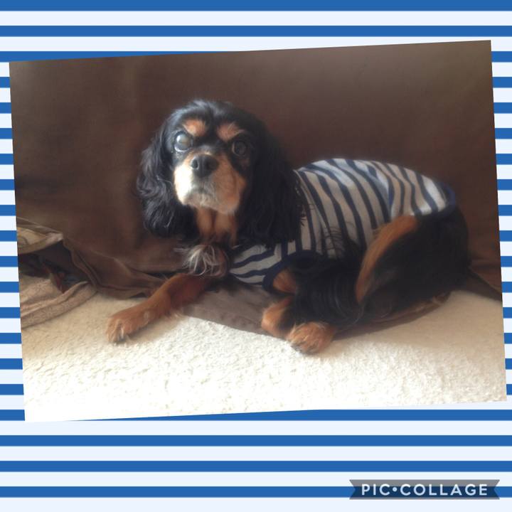 790840af b2e3 493f 99ed f470446317bf 1541234729927