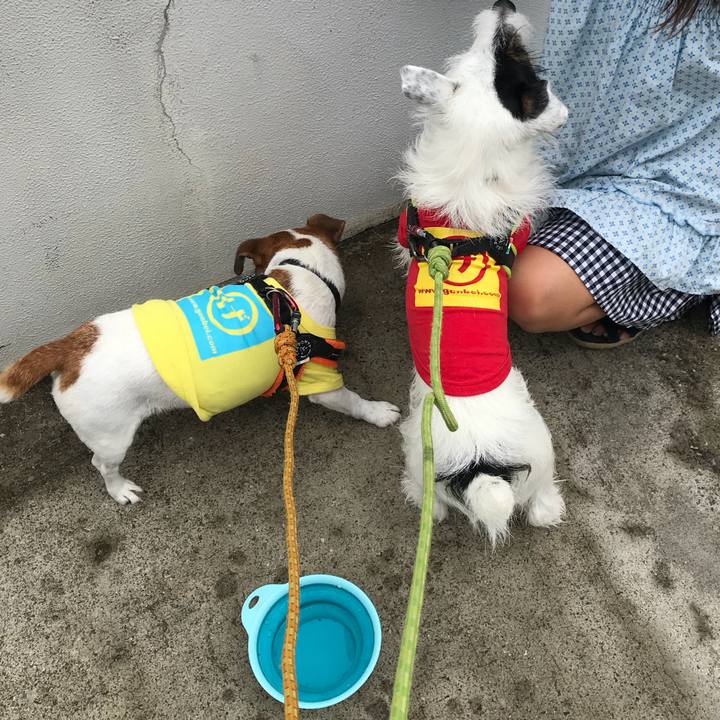 7908456e f7a7 4070 9021 215042a5be2e 1537065592364