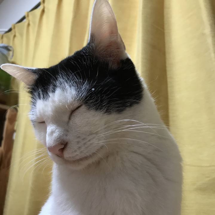 79084edc 586f 4947 8305 e2fe33e3489e 1527700181425