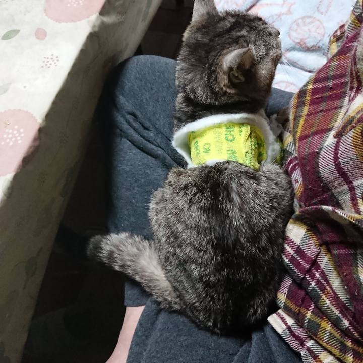 79085404 5527 4daf 9354 c52fe82c2838 1586549531467