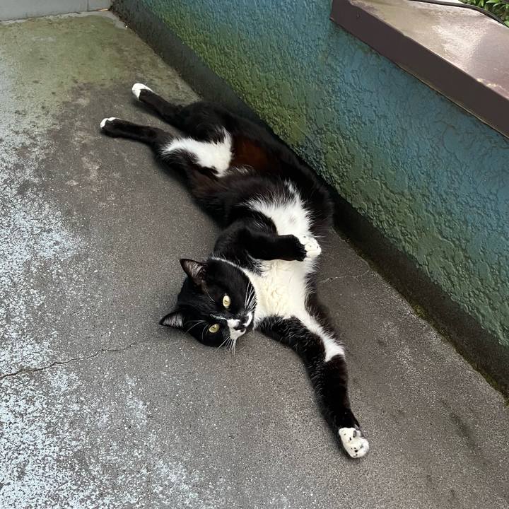 79085b51 2640 4b7c 9290 aa6320dcd9fc 1743149593352