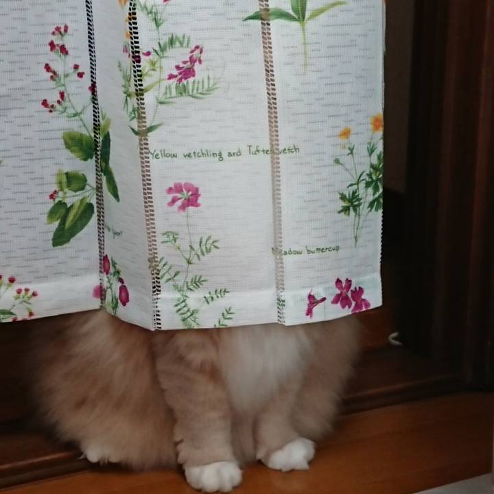 79085bd8 0a63 4908 8ba5 557915ace06a 1578538318263