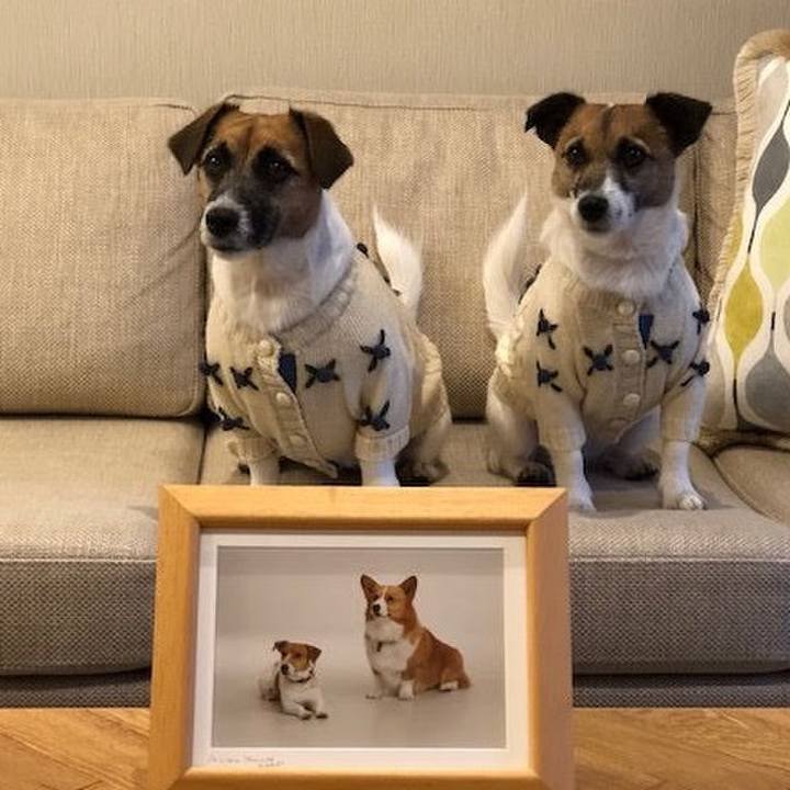 79085f29 6fec 49cd a3da e7bc3a01d45a 1590838956546