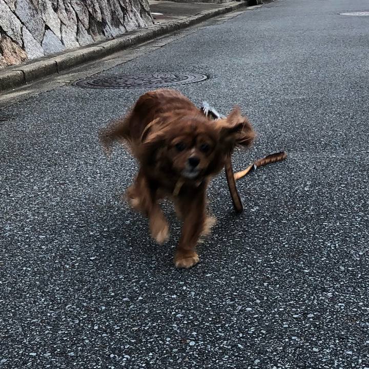 79085fd4 c7ab 4f3f a5eb 9b9c30335f02 1607165986378