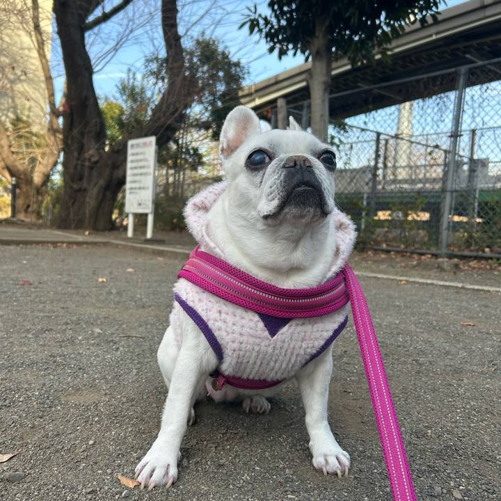 79086b14 8754 4d4f 86cb 14c0ba21a677 1734672280438