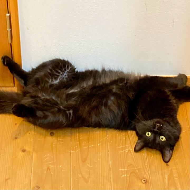 79088054 31e2 4f24 9dba b12f6a0a90c8 1725258381662