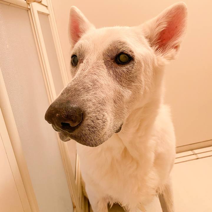 79088e06 867c 42ba 82bc dfe5ec95a53b 1671258297280