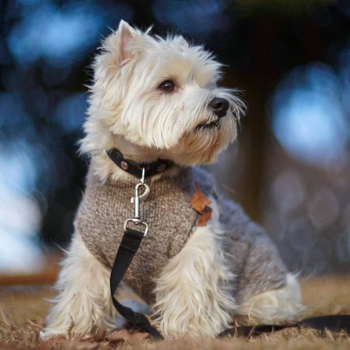 7908a7ac d779 4861 a397 c254e1bf1668 1513821392777