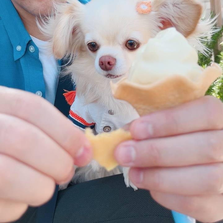 7908e18b 04c4 4ab6 bd5c e6a6685b6392 1714307326118