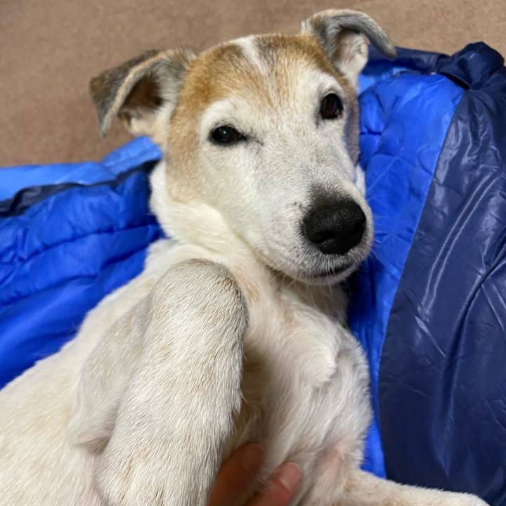 7908ff02 a6e8 4ac6 9938 da7133cd101c 1611699778823