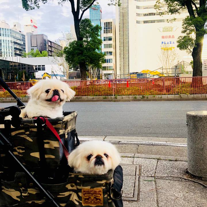 79090298 07cb 4de6 8fd5 4dd51183df57 1594853071176