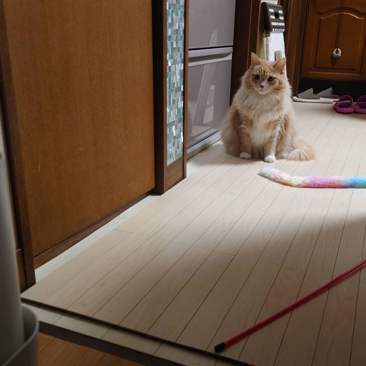 790909a5 6ce0 4233 9aab fa1702d89d34 1696685696825