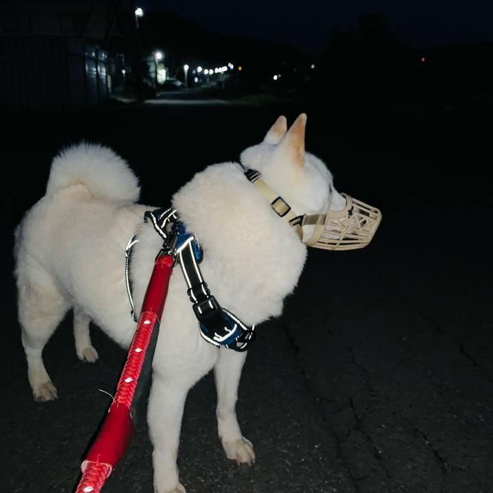 79092e61 652f 4346 a5ac c3b3d19e854e 1663185963981