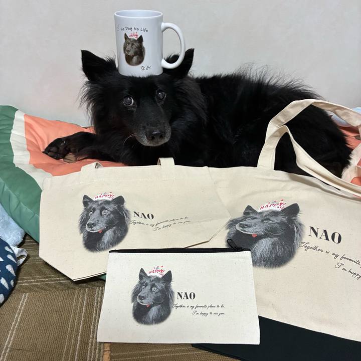 7909406b 3d4e 49bf 9400 45619957c5a1 1757030761308