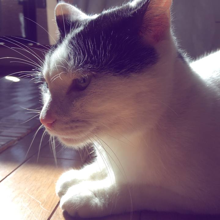 790947fa f972 471c 9644 188470ca120d 1539794703807