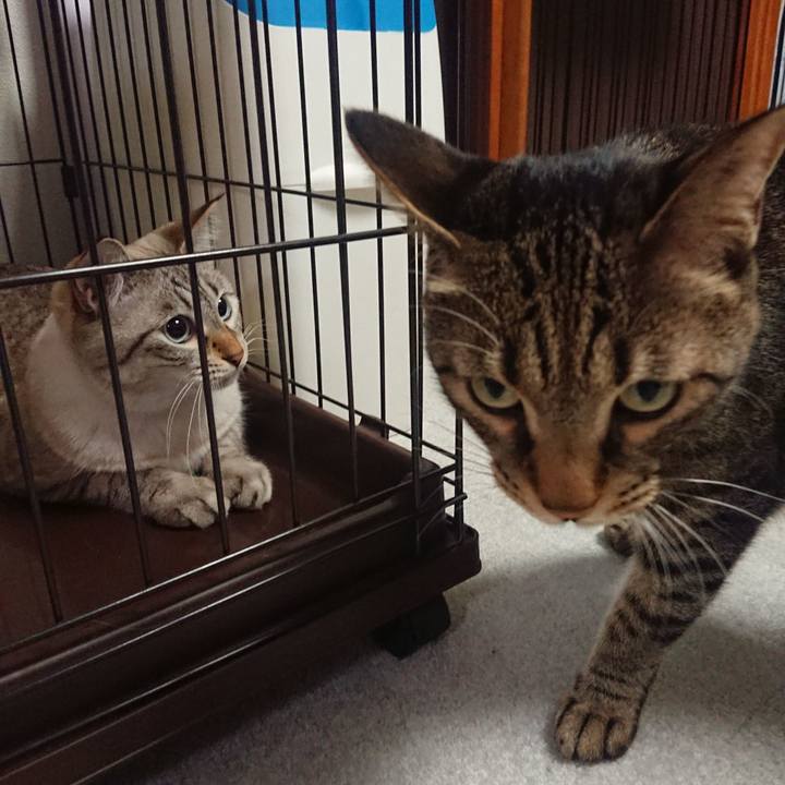 790986f5 bada 4fc0 8832 4452fe93c3ea 1539158771026