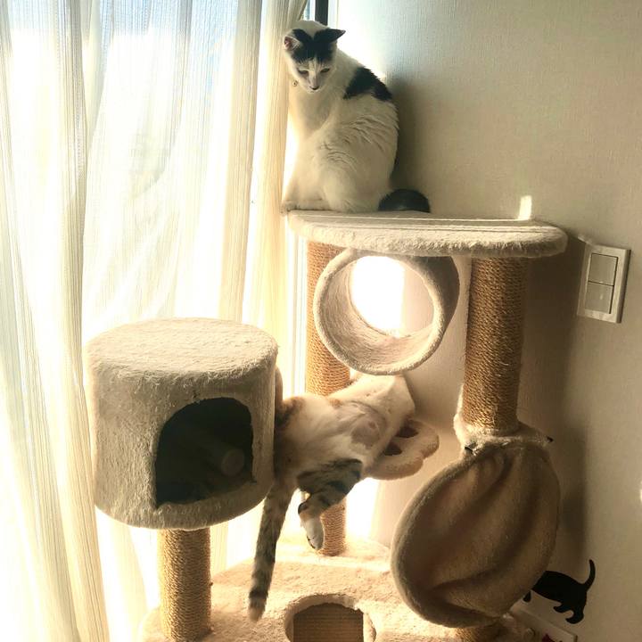 79099dab 57e6 4741 a970 19a84acaca97 1573880569015