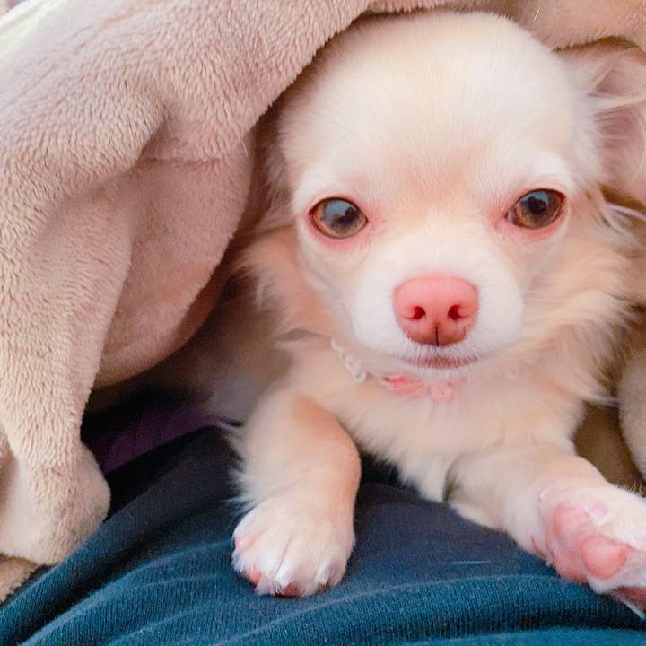 7909bb94 8097 4f22 a903 52a81fd2099d 1614132798883