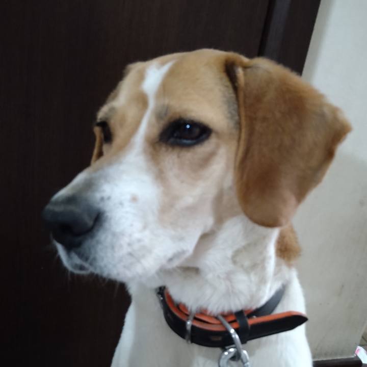 7909df11 56c8 4fee 8cb1 0e535d7ba099 1622099374092