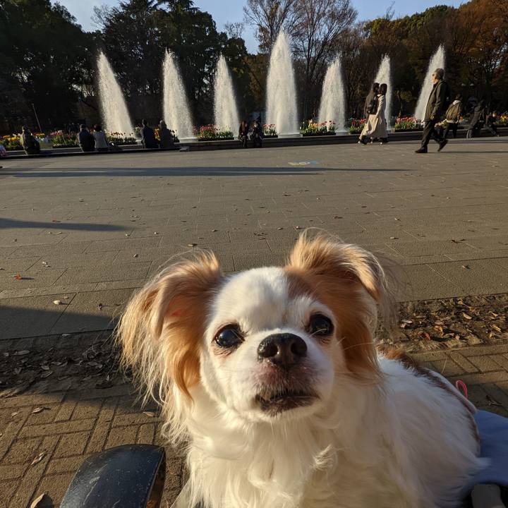 7909e2d5 5f52 4e30 b648 6c57304e072f 1670566789892