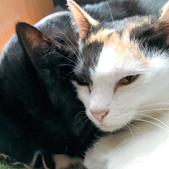 7909f2cd d9f7 4d01 be2f ac1915548e58 1511053627607