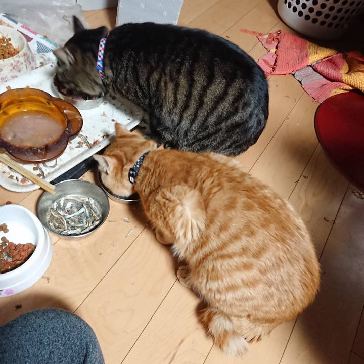 7909fac8 890e 4f14 b3bf 9524032d7e42 1641075548897