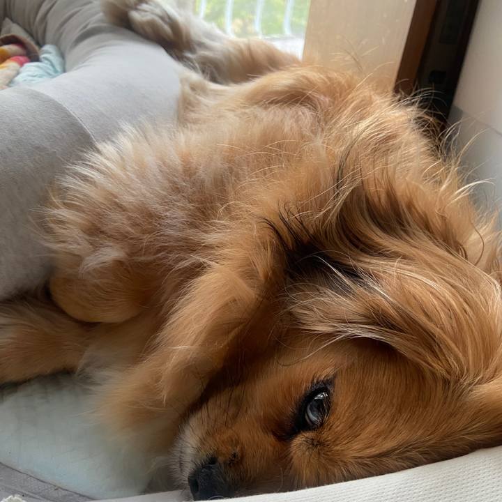 790a2492 de67 4dbc bc85 67d1aa0c8488 1622150730600